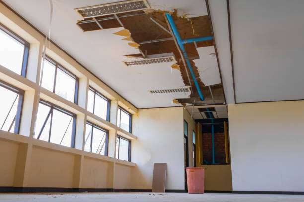 Water damage restoration mold remediation in Mantachie, MS