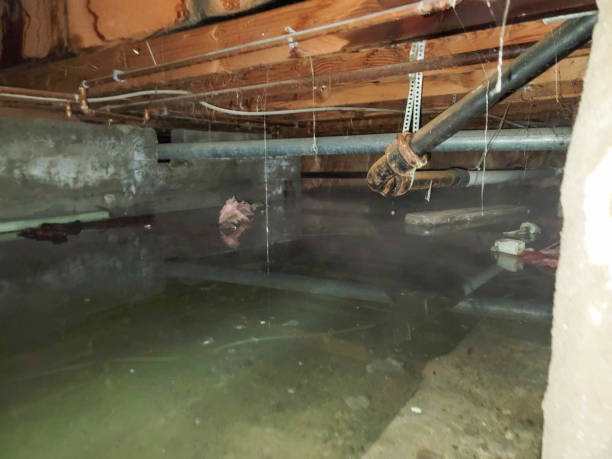 Best 24-hour water damage restoration  in Mantachie, MS