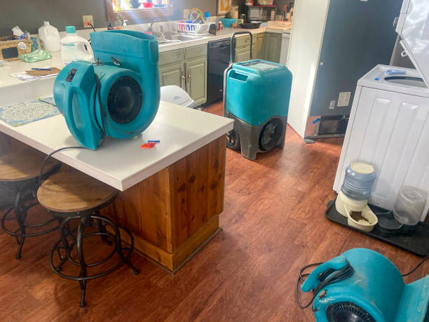Best Mold removal after water damage  in Mantachie, MS