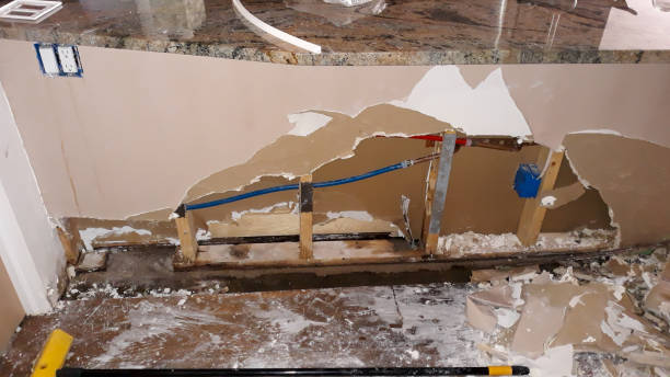 Best Ceiling water damage repair  in Mantachie, MS