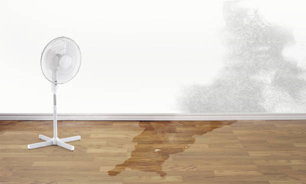 Best Fire Damage Restoration  in Mantachie, MS