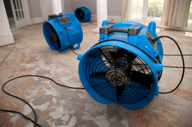Best Commercial water damage restoration  in Mantachie, MS