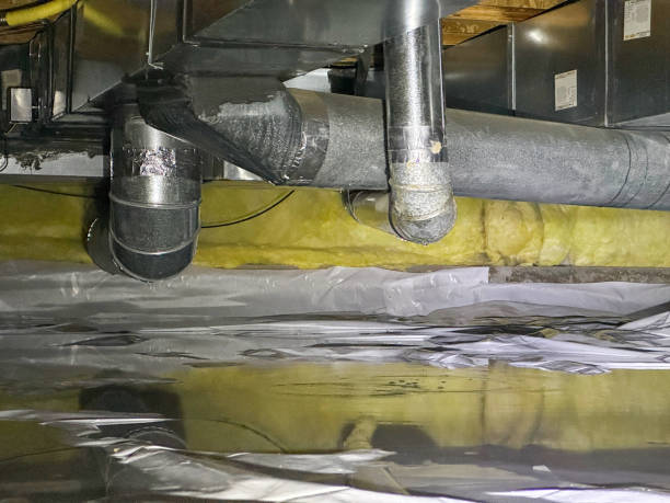Best Sewage cleanup and water damage restoration  in Mantachie, MS