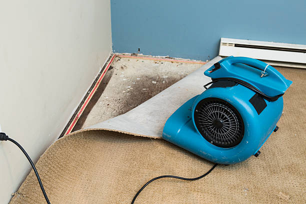 Best Residential water damage restoration  in Mantachie, MS